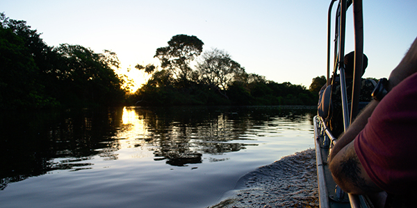 foz campo grande pantanal foz campo grande pantanal