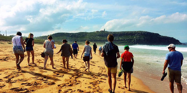 Things to do in sydney outskirts