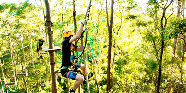 Things to do near Thunderbird Park