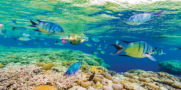 Great Barrier Reef Overnight tours