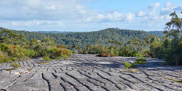 Elvina Aboriginal Rock Art Ku Ring Gai Chase National Park, NSW