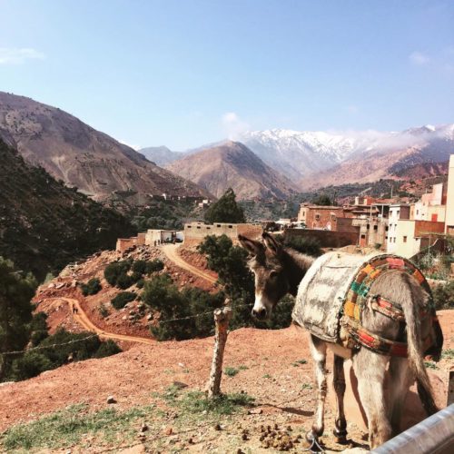 Morocco 2 Apr - Sarah Hayward
