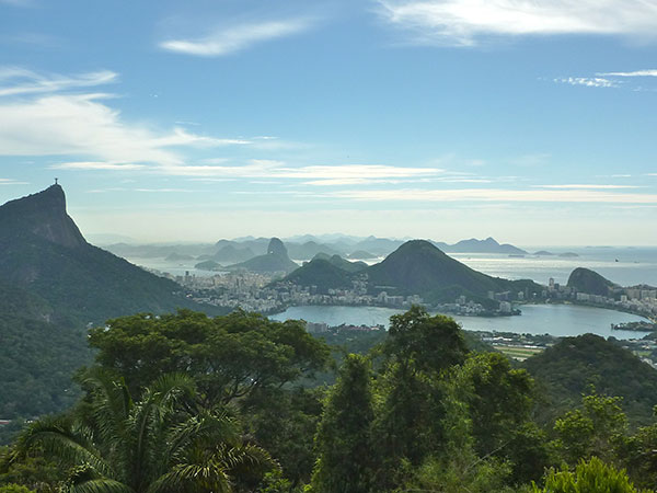 tijuca forest rio de janero