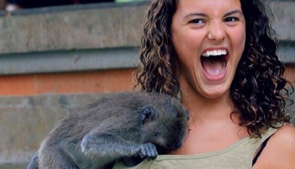 monkey