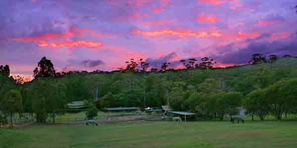 Dawn-at-Cedar-Creek Thunderbird Park