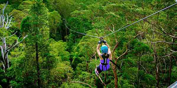 Canyon zipline