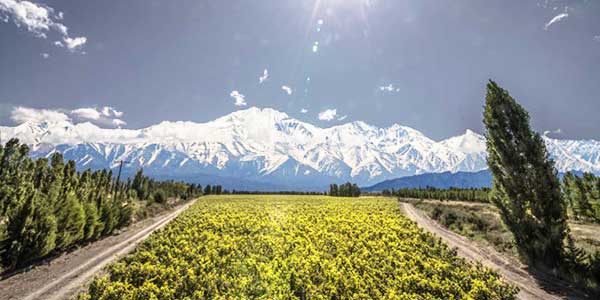 Mendoza Argentina