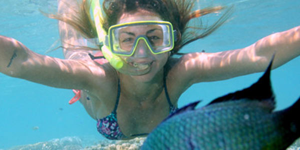 header-reef