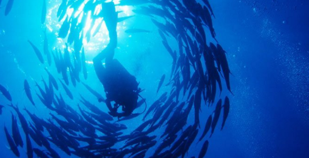 red sea egypt