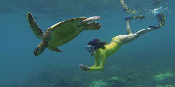 BBM-August-Ocean-Safari-turtle-girl-2 Ocean Safari
