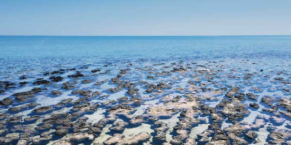 Shark Bay