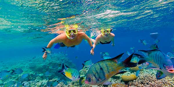 AW-Great-Barrier-Reef-Snorkeling Best Places To Snorkel Near Broome