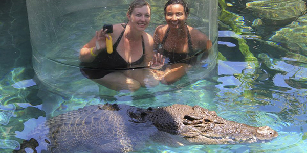 Crocosaurus Cove, Darwin