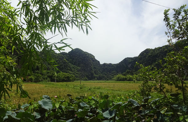 Ninh Binh landscape - Urban Adventures Citadels, Karsts and Cycle Tour