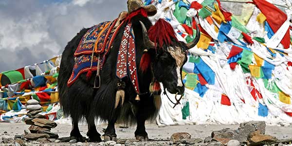 nepal-to-india-tour Nepal to India budget tours