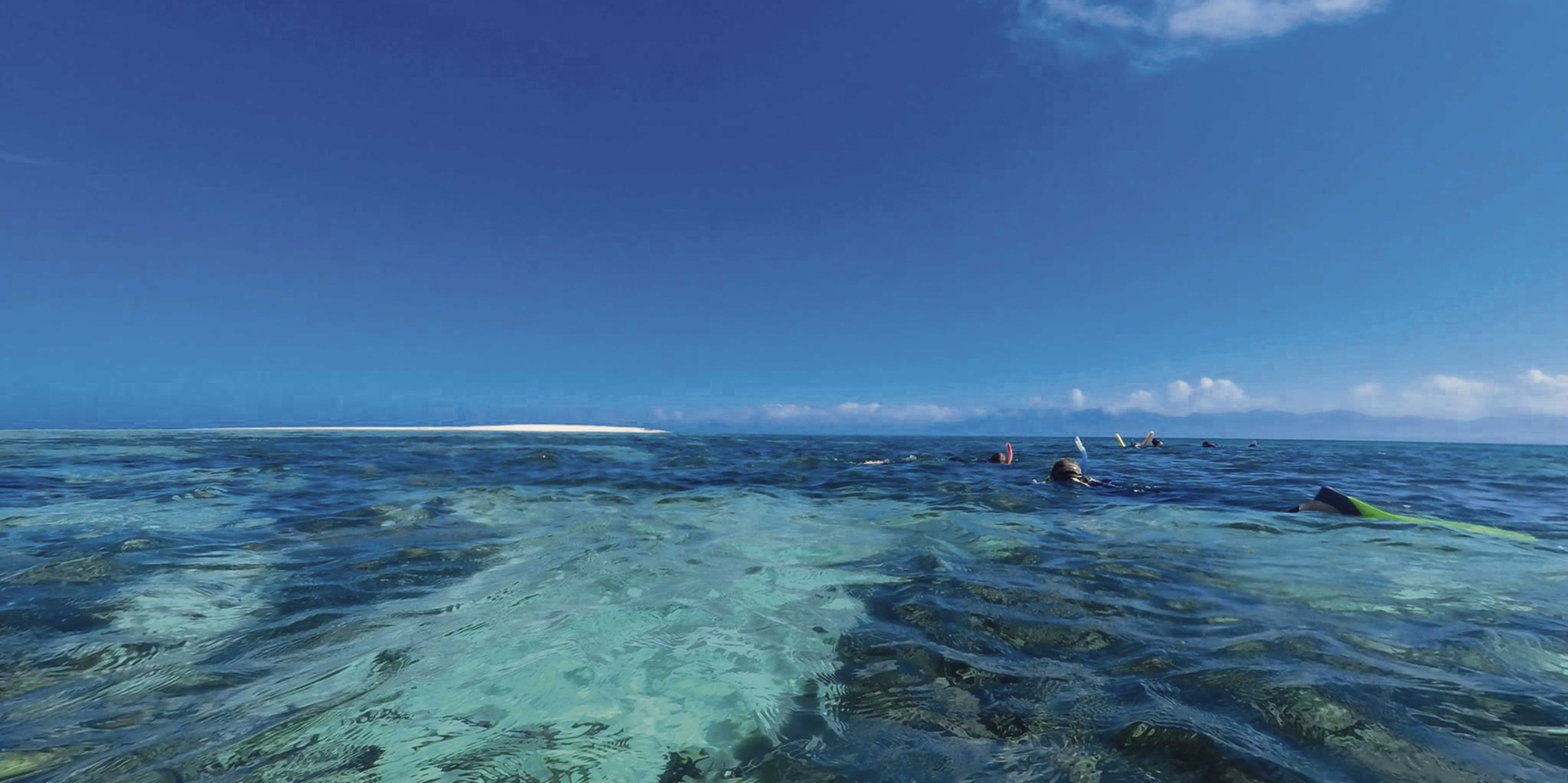 ocean-safari-mackay-reef-australia Great Barrier Reef half day tour