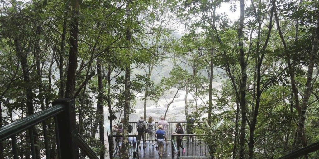 things to do in Cairns