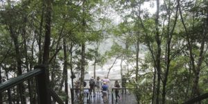 things to do in Cairns