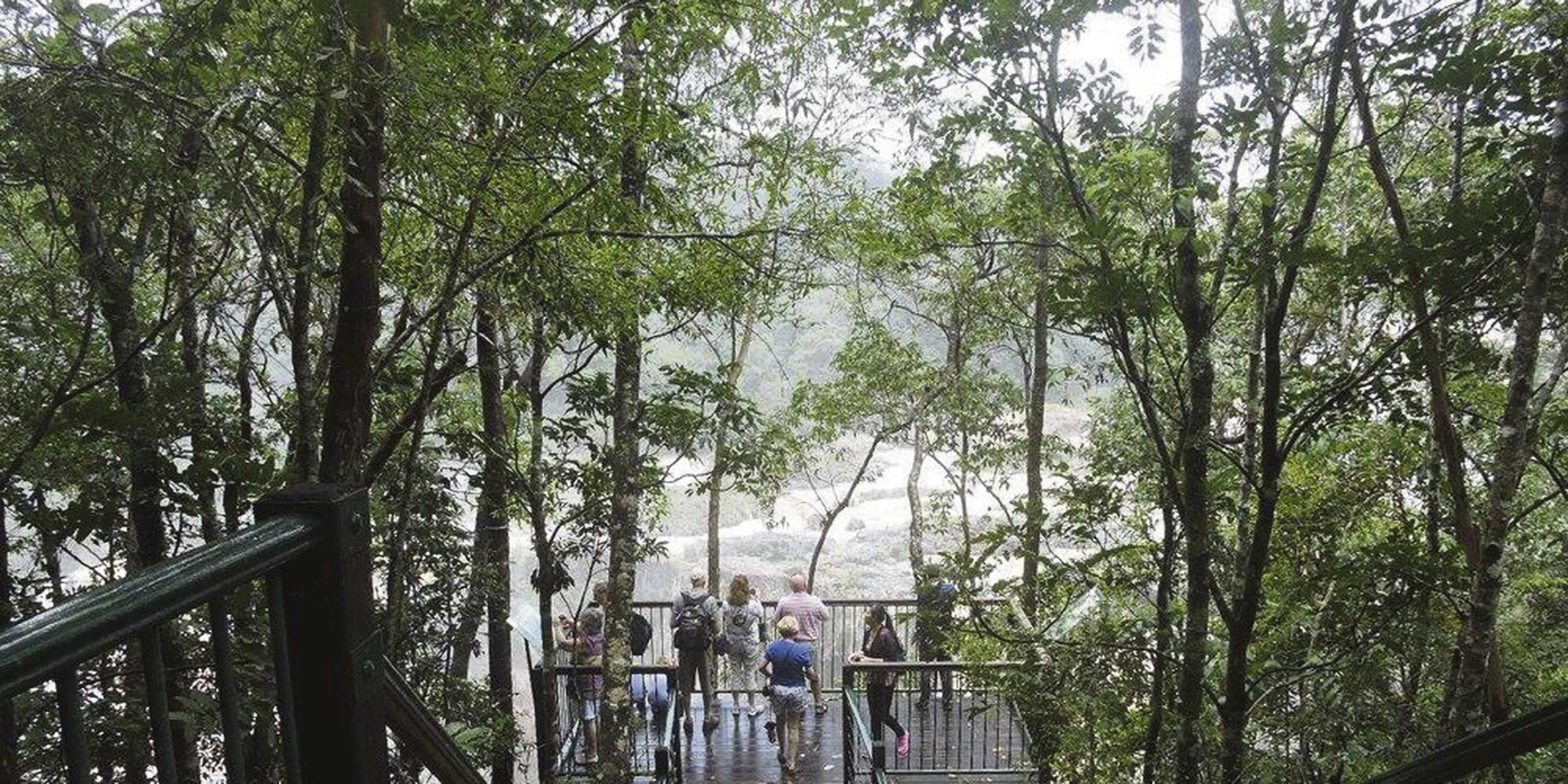 things to do in Cairns