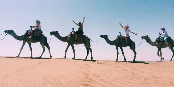 group tours