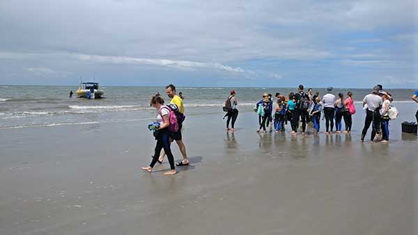 Ocean Rafting review Cape Tribulation