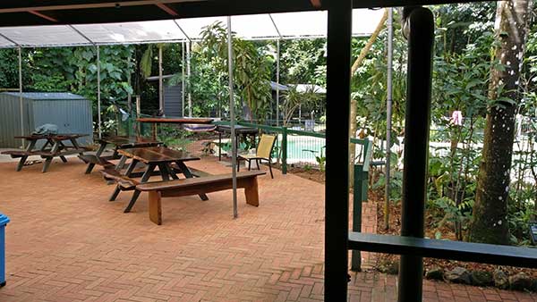 jungle lodge cape tribulation