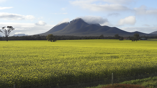 south-australia-tours