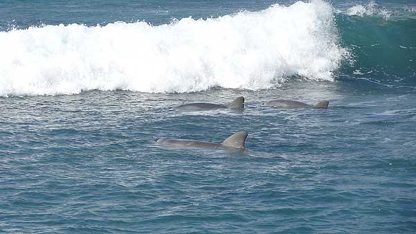 Adventure tours from Adelaide to Perth