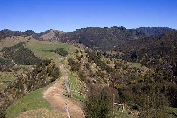Horse trekking in Whakahoro