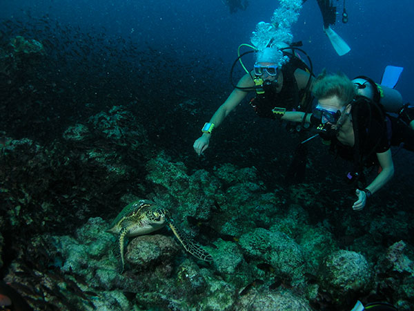 Costa Rica adventure tours