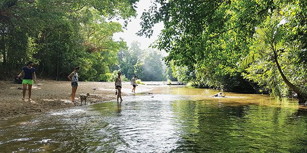 Guide to a Holiday in Cairns for Locals