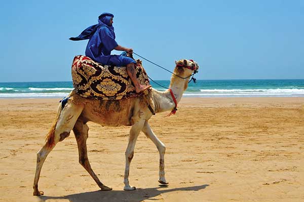 Morocco-Stock-Image-Atlantic-Beach-Camel-ride-Berber cheap morocco tours