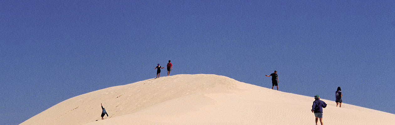 South Australia Tour Deals 2017 South Australia Tour Deals