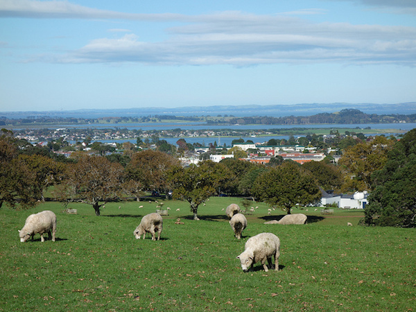 New Zealand Adventure tours