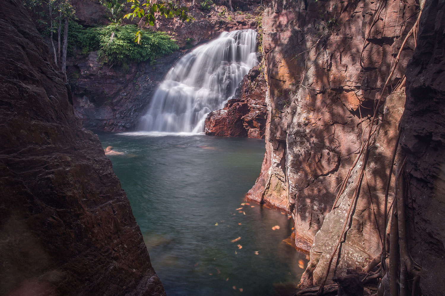 Darwin Adventure Tours Darwin Adventure Tours Northern Territory Backpacker Guide