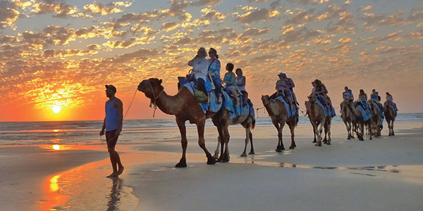 Camel Ride Broome Tours