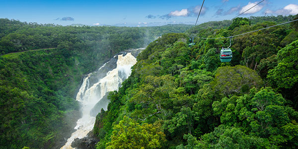Barron-Falls-Approach-with-gondola---wide Barron Falls - Skyrail Rainforest Cableway