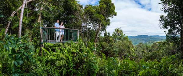 Skyrail Rainforest Cableway