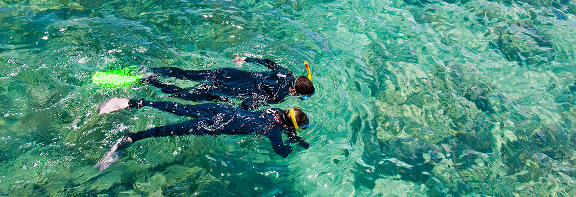 Destination Guide Great Barrier Reef snorkelling tour
