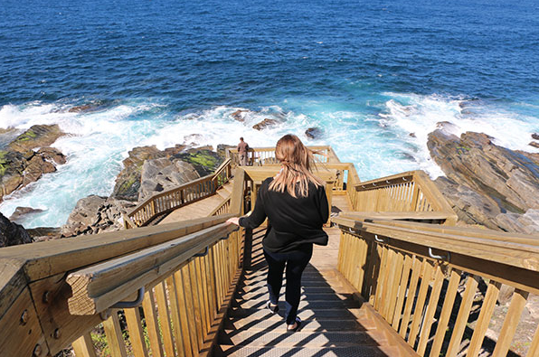 Screen Shot 2017-04-04 at 11.47.48 Kangaroo Island tours