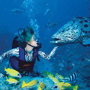 Great Barrier Reef Day Tour