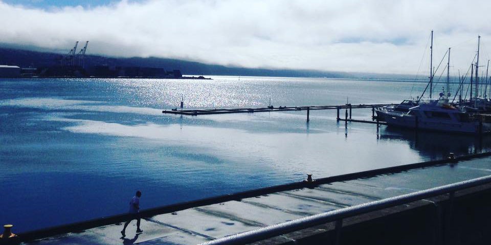 Wellington-on-a-mission