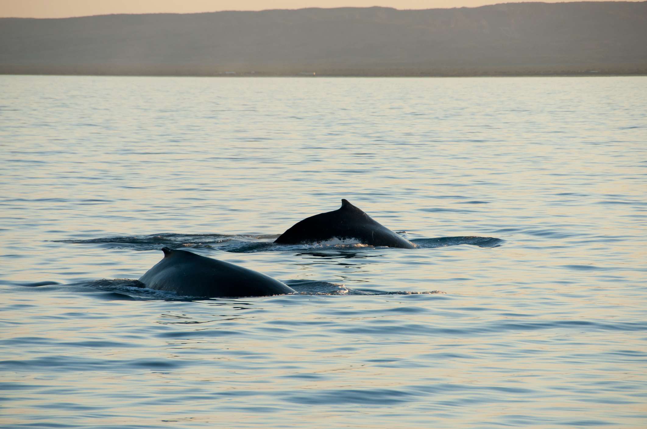 Things to do in Exmouth Western Australia