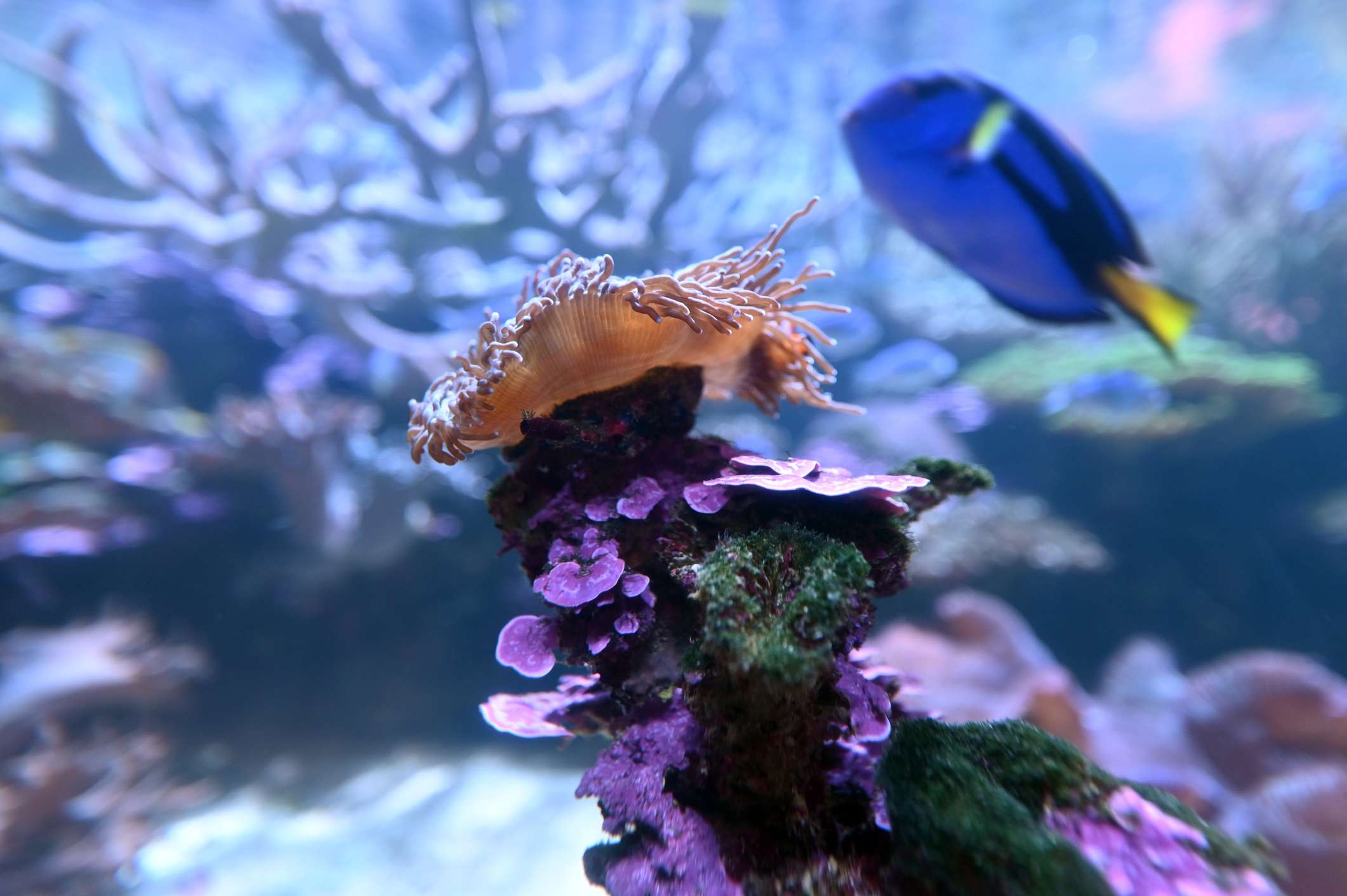 Ningaloo Marine Park