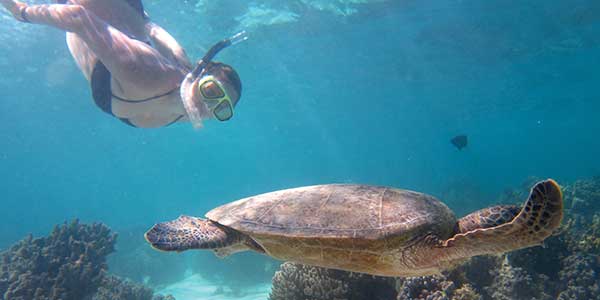 Perth to Broome Tour – Top 5 Places To See