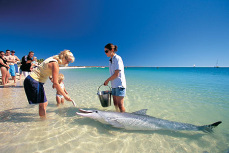 Perth to Broome Tours Highlights 2024