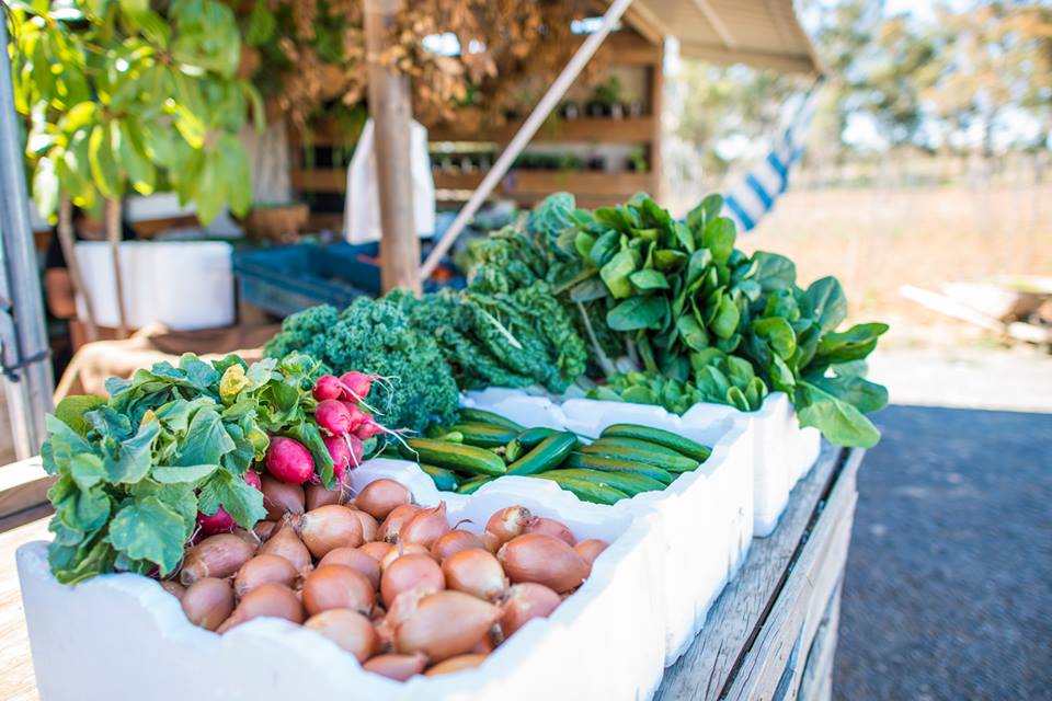 parklands food fest 2 Things to do in Sydney