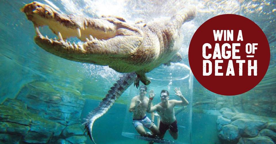 things to do darwin - croc diving Things to do this Christmas in Darwin