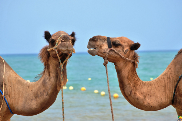 2018-Europe-Tour-Deals Europe tours