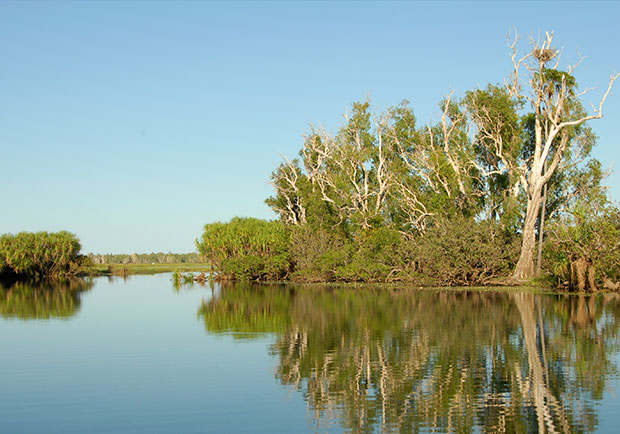 Kakadu-Wild Kakadu-Wild